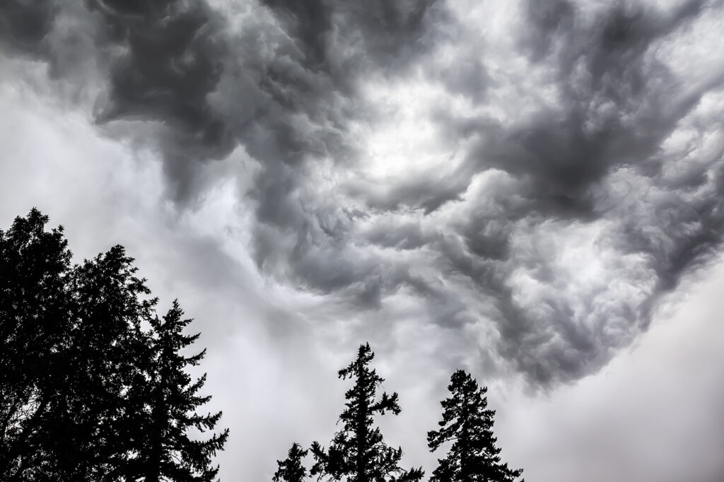 Vortex Above the Forest