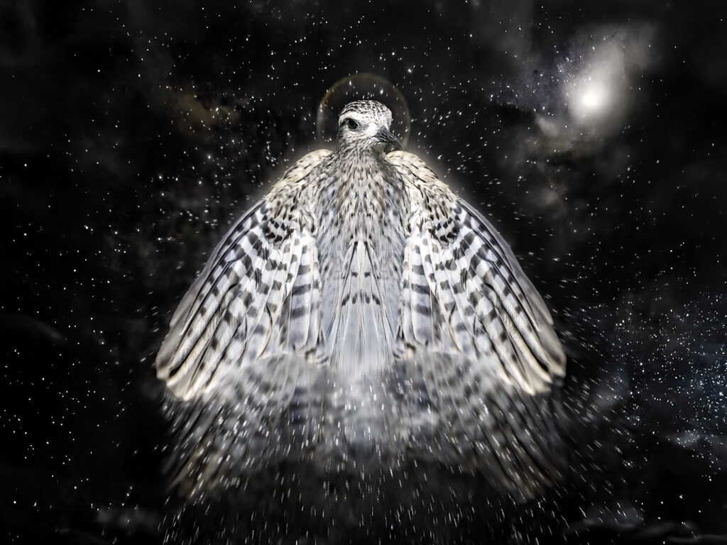 Winged Spirit