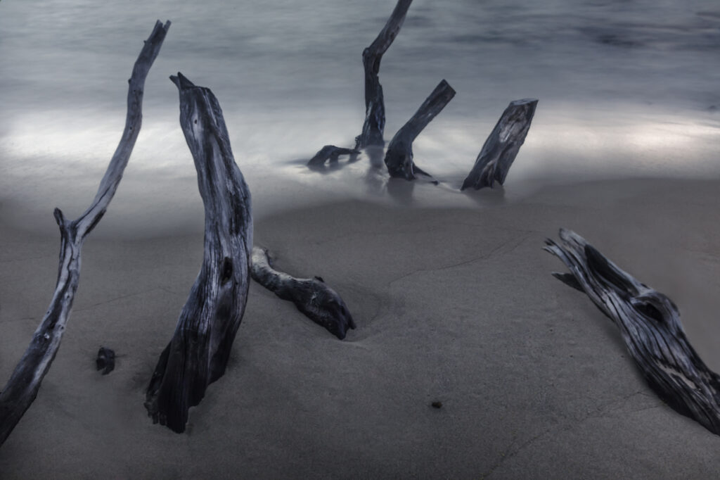 Figures In The Tide