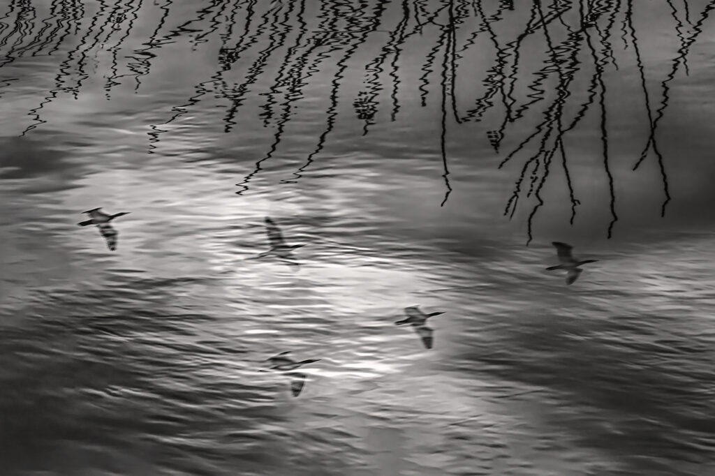 Passage