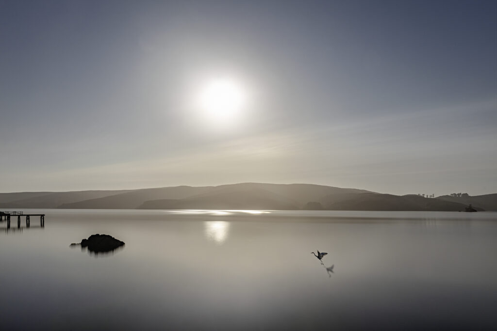 Tomales Bay